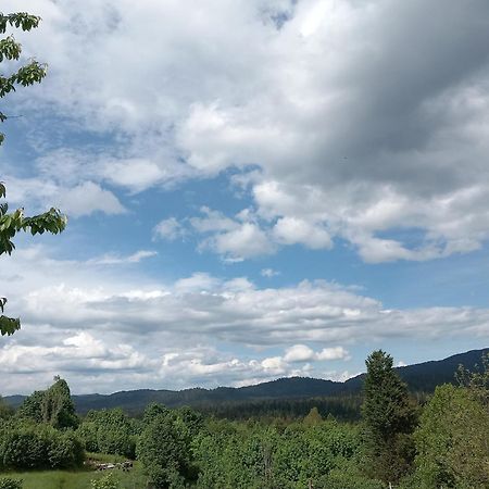 Apartman Ris Gorski Kotar Crni Lug Delnice Zewnętrze zdjęcie