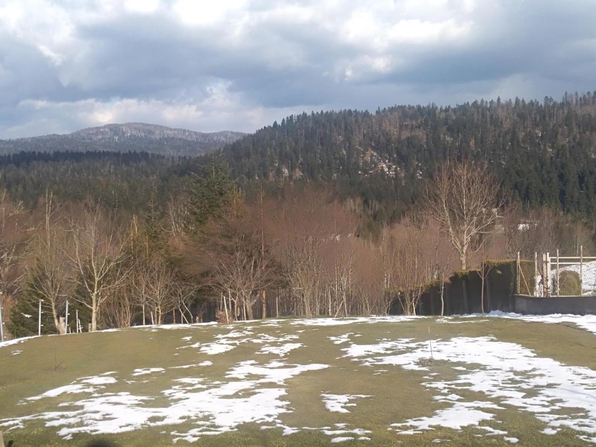 Apartman Ris Gorski Kotar Crni Lug Delnice Zewnętrze zdjęcie