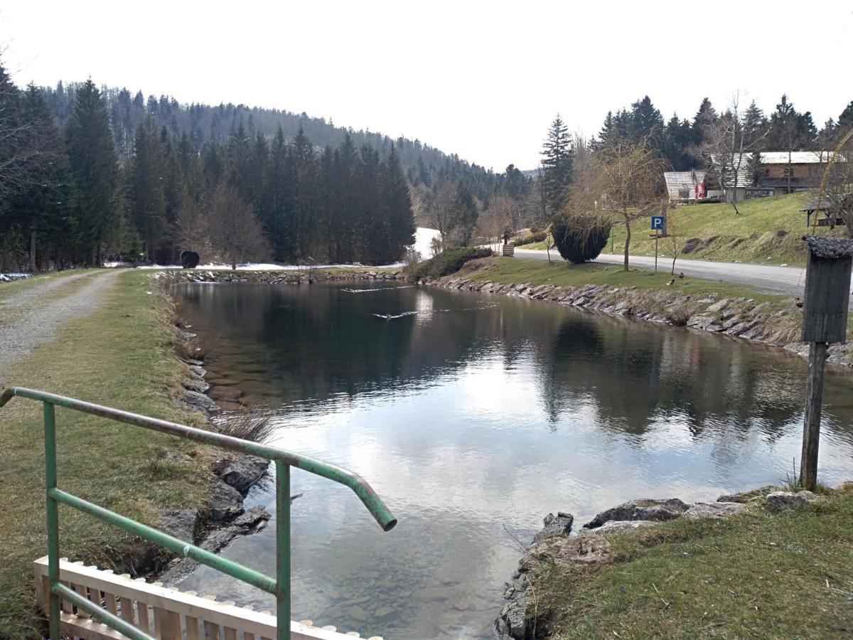 Apartman Ris Gorski Kotar Crni Lug Delnice Zewnętrze zdjęcie