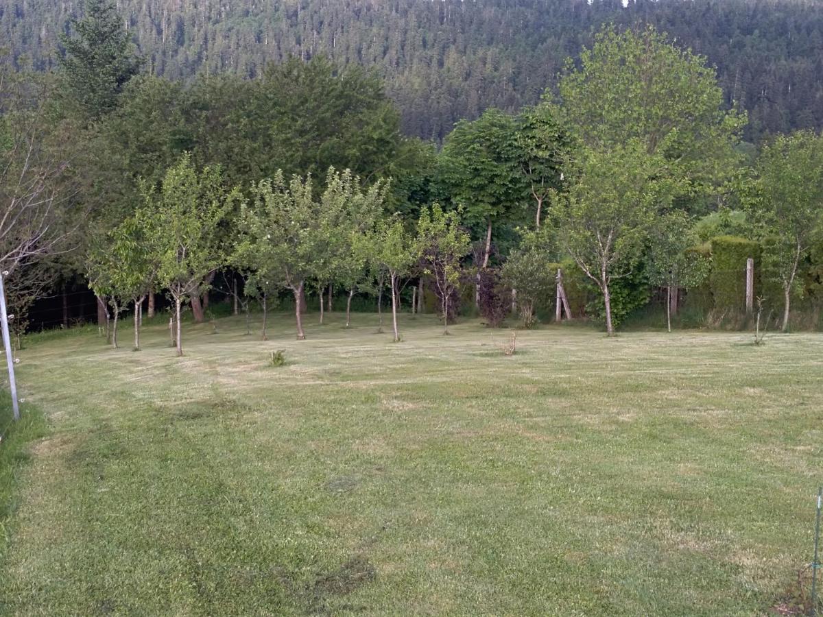 Apartman Ris Gorski Kotar Crni Lug Delnice Zewnętrze zdjęcie