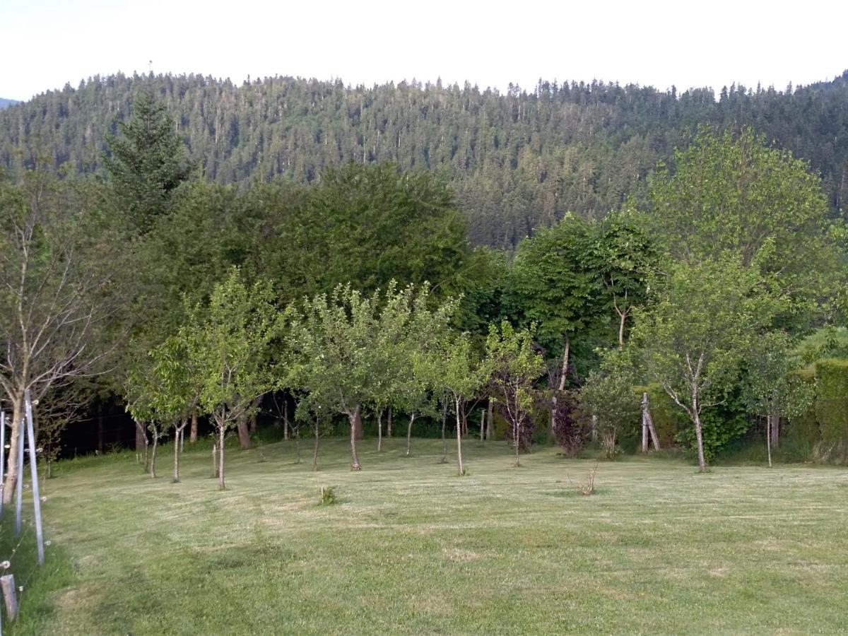 Apartman Ris Gorski Kotar Crni Lug Delnice Zewnętrze zdjęcie
