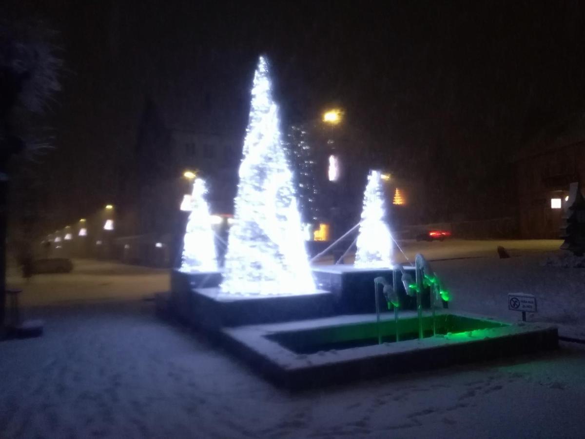 Apartman Ris Gorski Kotar Crni Lug Delnice Zewnętrze zdjęcie