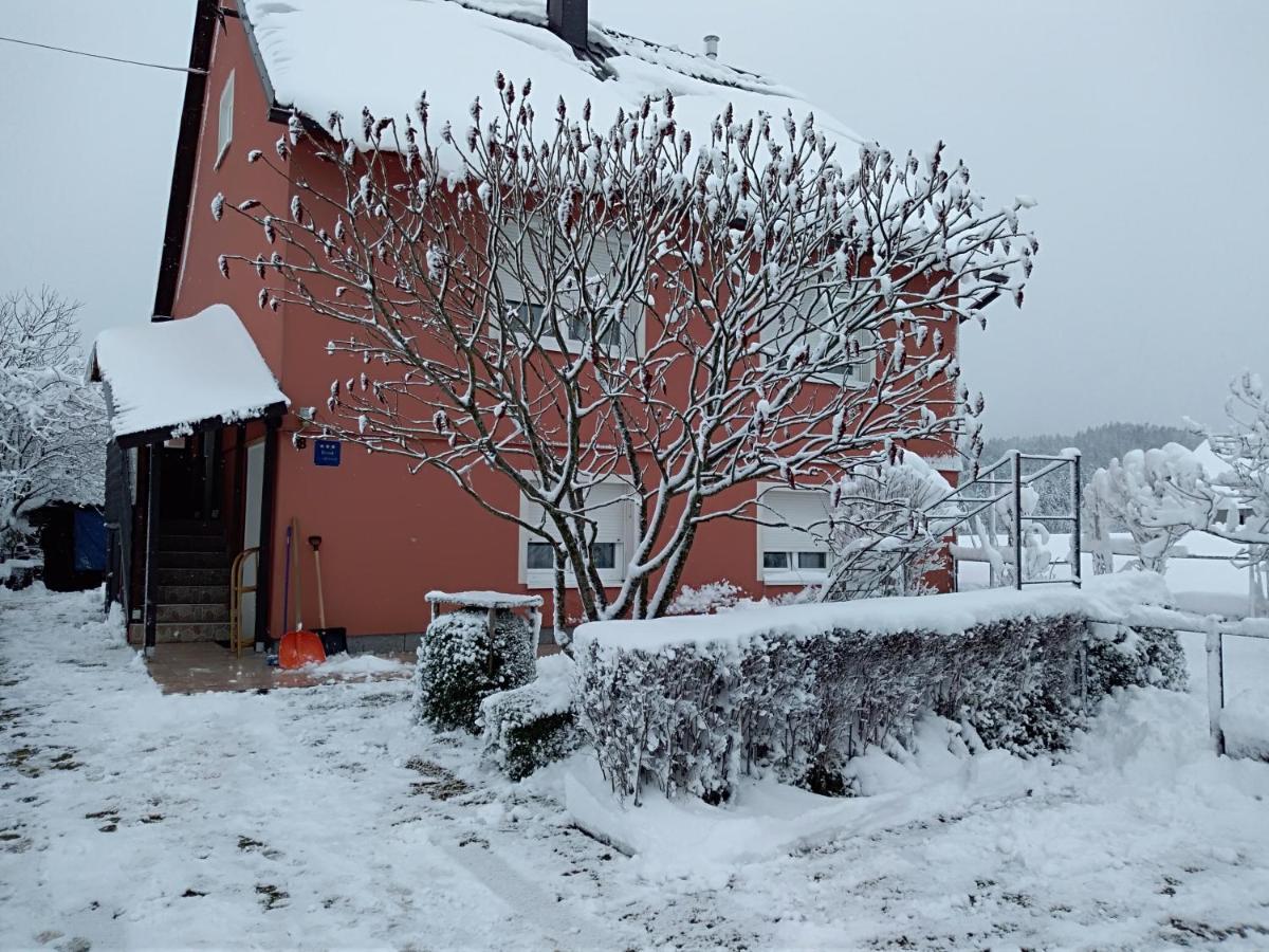 Apartman Ris Gorski Kotar Crni Lug Delnice Zewnętrze zdjęcie